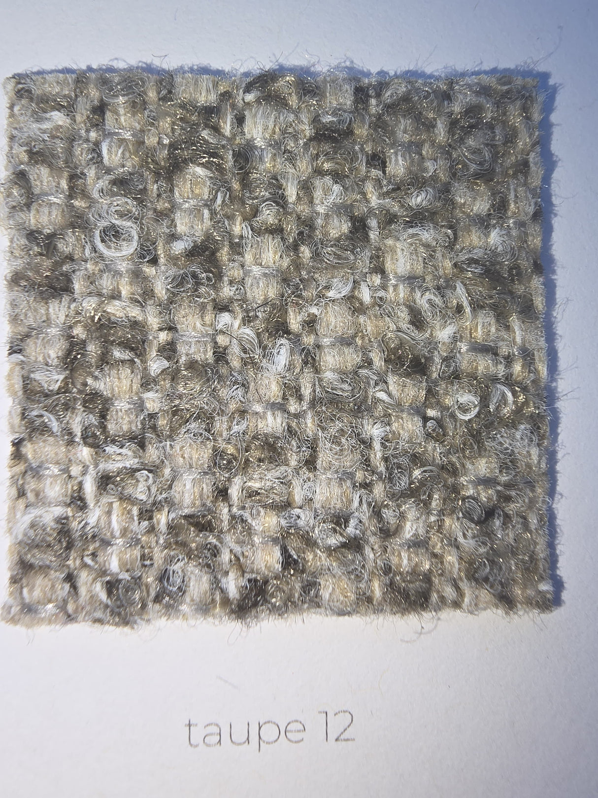 Ambiseat RS6, Society