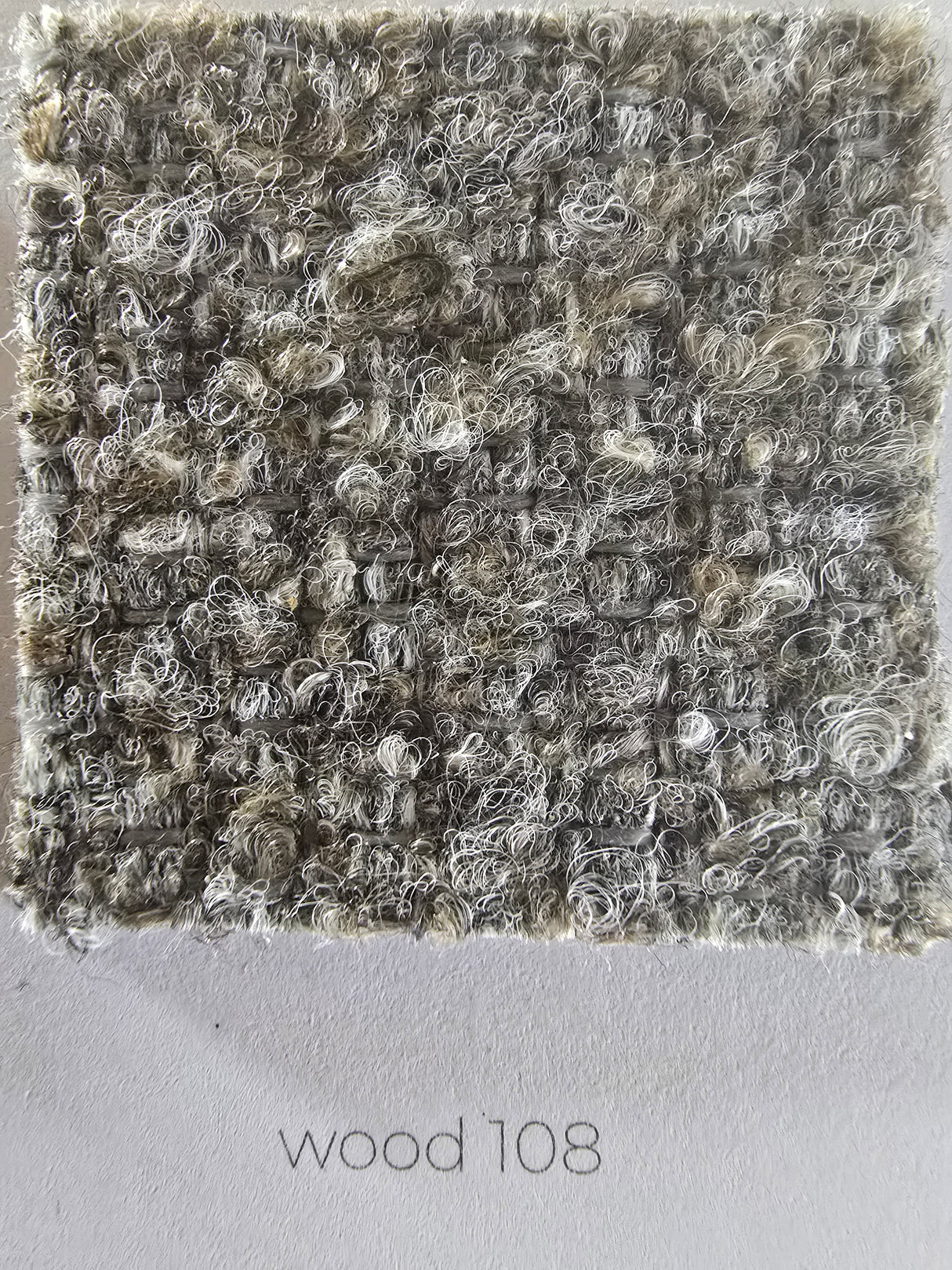 Ambiseat RS6, Society