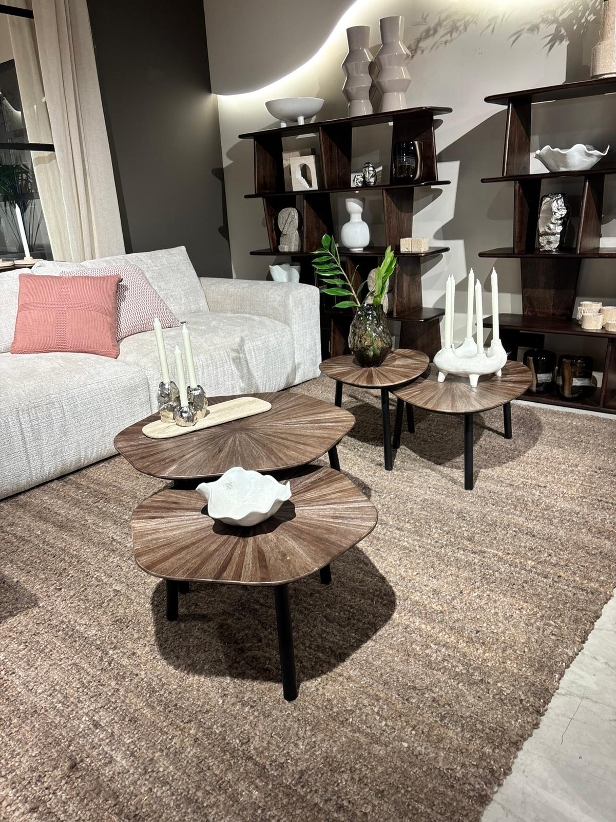 LIfestyle Tampa Triangle Coffee Table Set/2