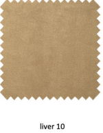 Ambiseat Barkruk RS5, Earth