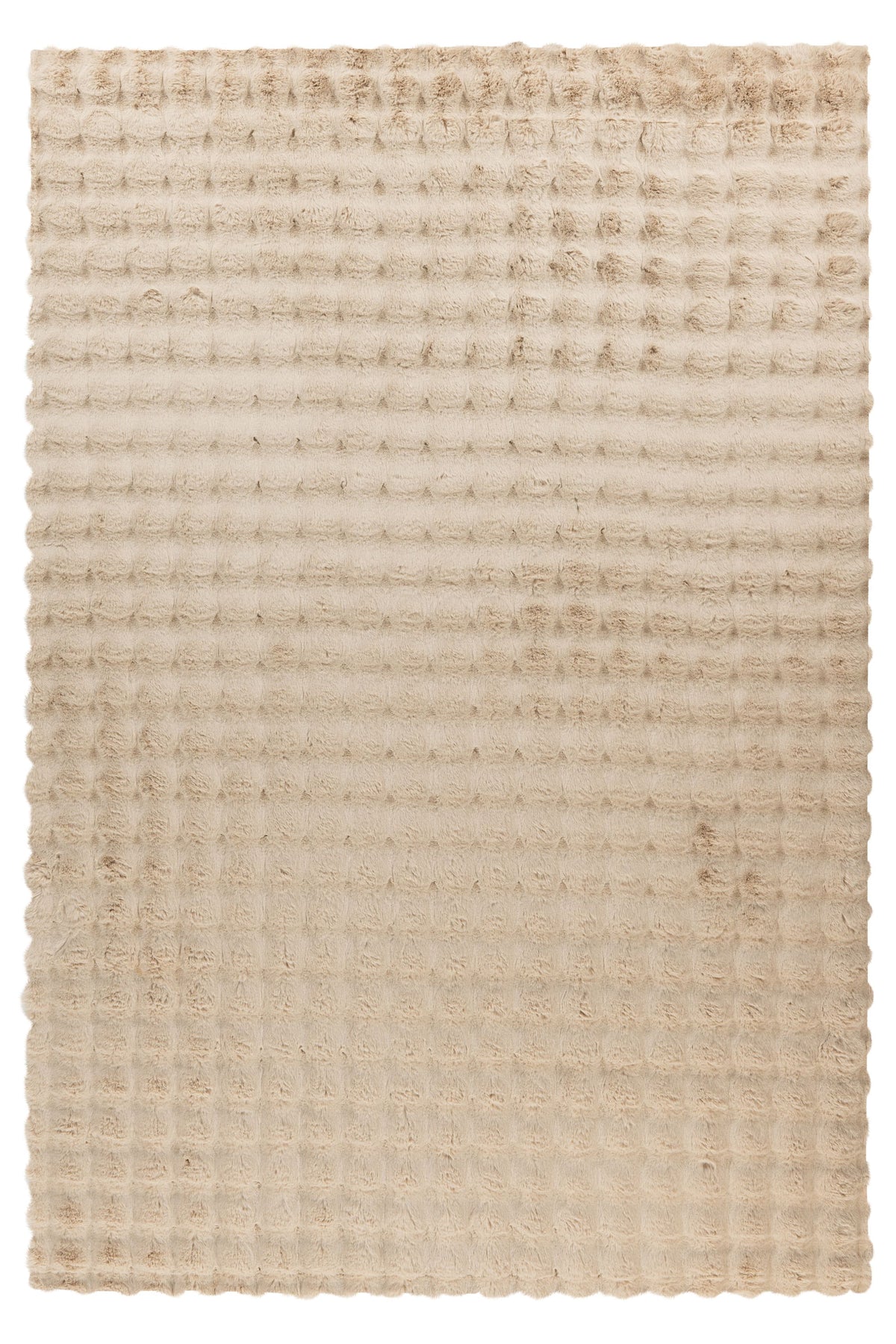 Lalee Carpet Hides Harmony