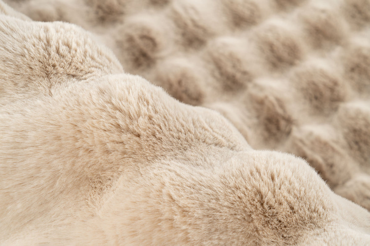 Lalee Carpet Hides Harmony