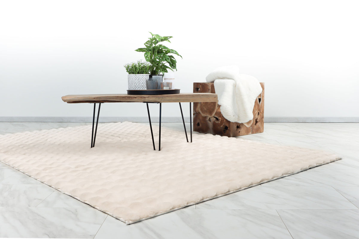 Lalee Carpet Hides Harmony