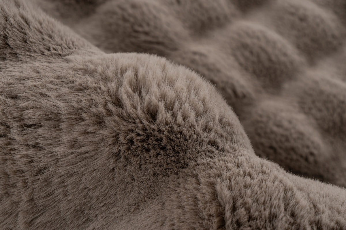 Lalee Carpet Hides Harmony