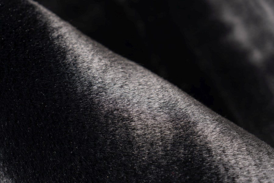 Lalee Carpet Hides Heaven