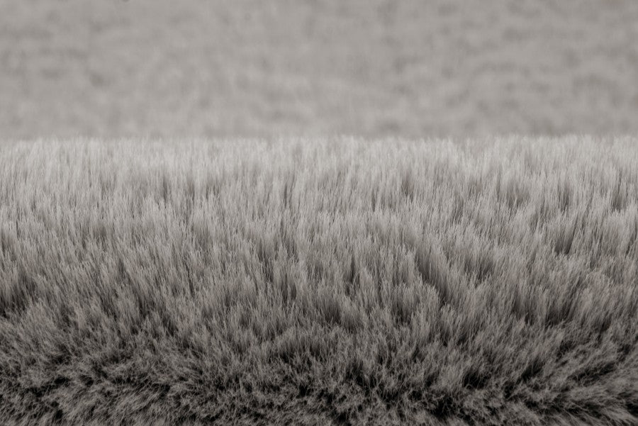 Lalee Carpet Hides Heaven