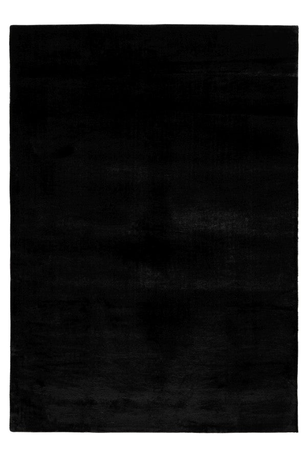 Lalee Carpet Hides Paradise