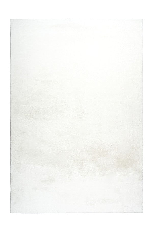 Lalee Carpet Hides Paradise