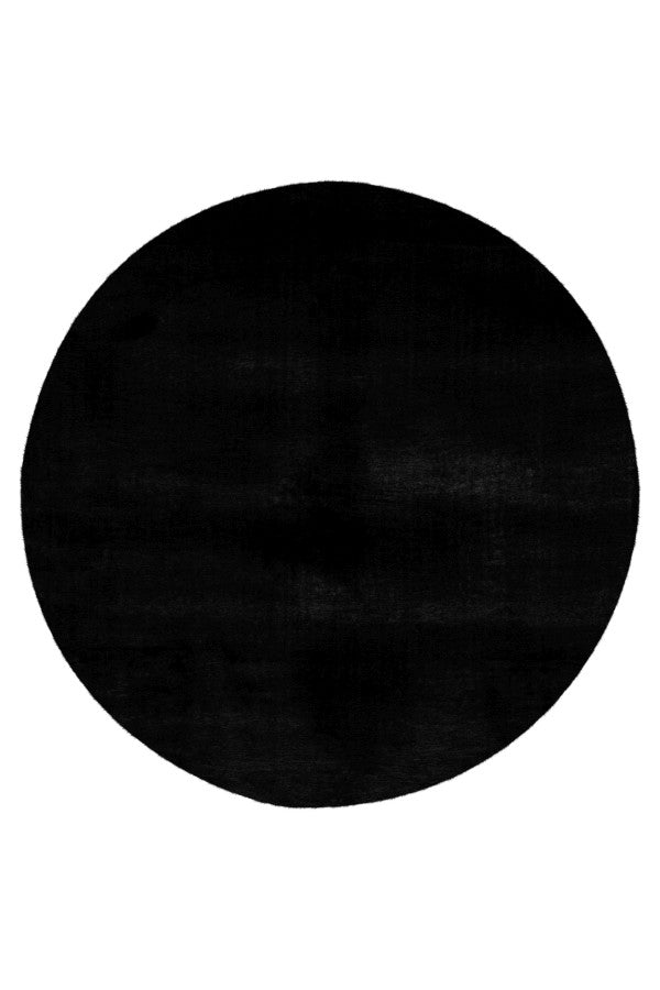 Lalee Carpet Hides Paradise