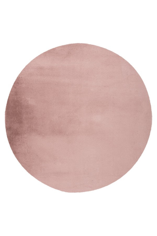 Lalee Carpet Hides Paradise