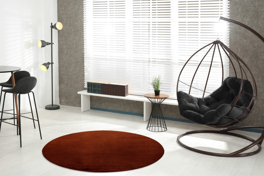 Lalee Carpet Hides Paradise