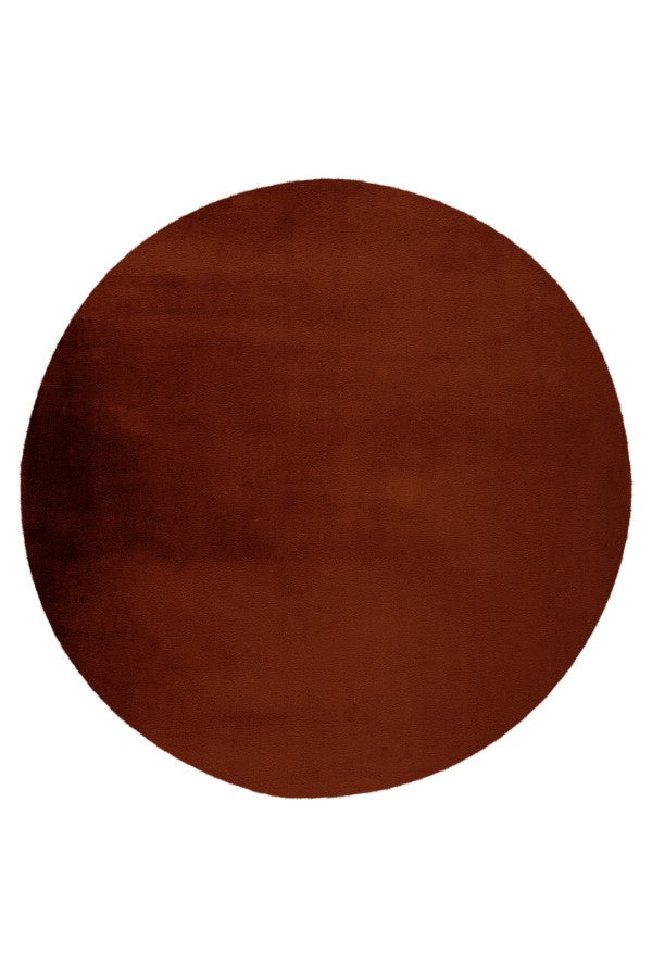 Lalee Carpet Hides Paradise