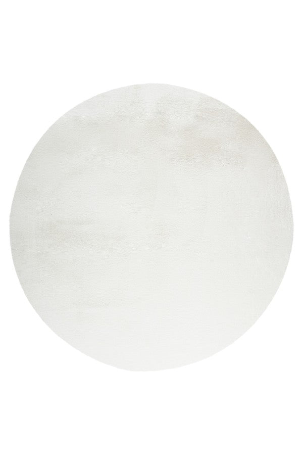 Lalee Carpet Hides Paradise