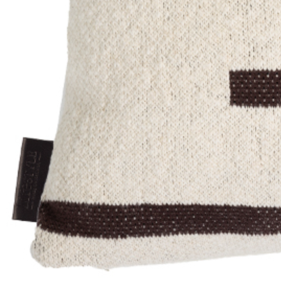 Lifestyle Zion Pillow