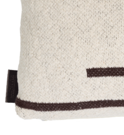 Lifestyle Zion Pillow