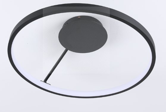 Light Trend Plafonlamp Pcirkle-60