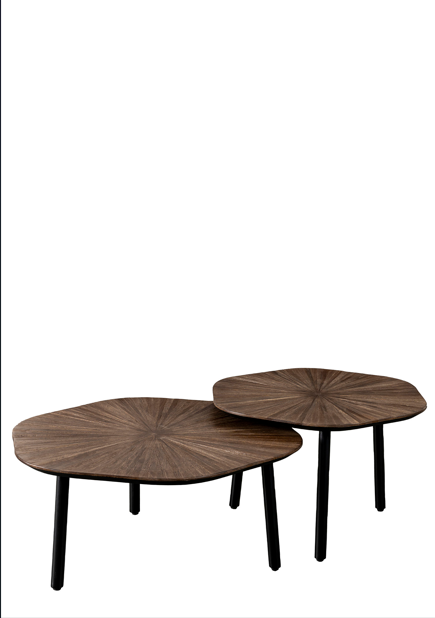 Lifestyle Tampa Hexagon Coffee Table Set/ 2