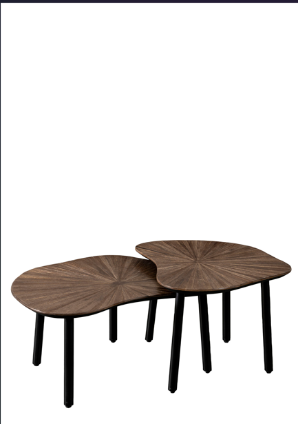 Lifestyle Tampa Organic Coffee Table Set/2
