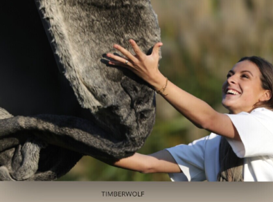 Winter-Home Timberwolf Plaid