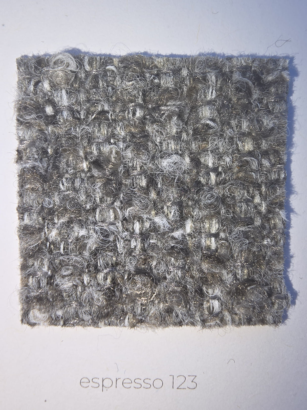 Ambiseat RS6, Society