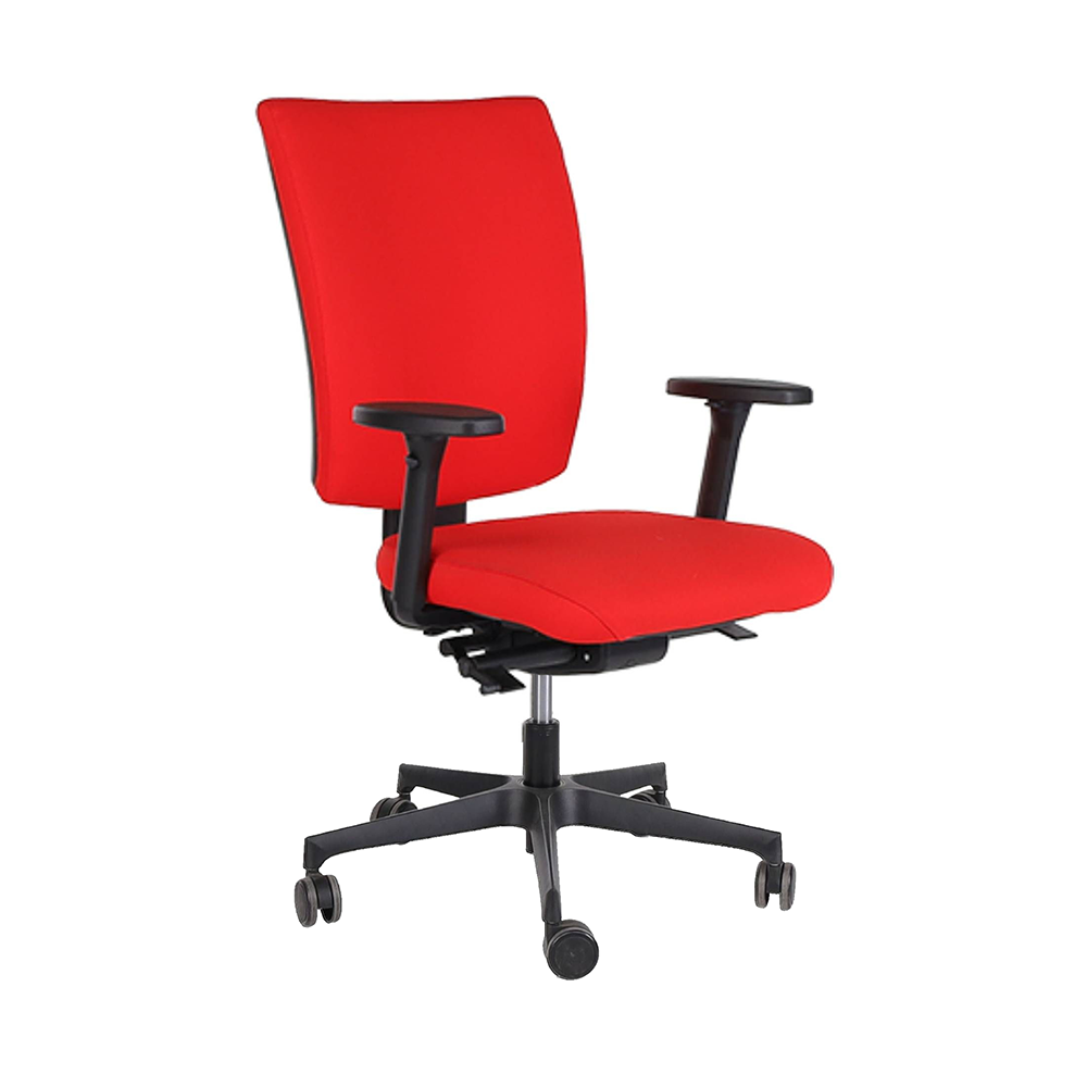 Bureaustoel Ergonice NPR