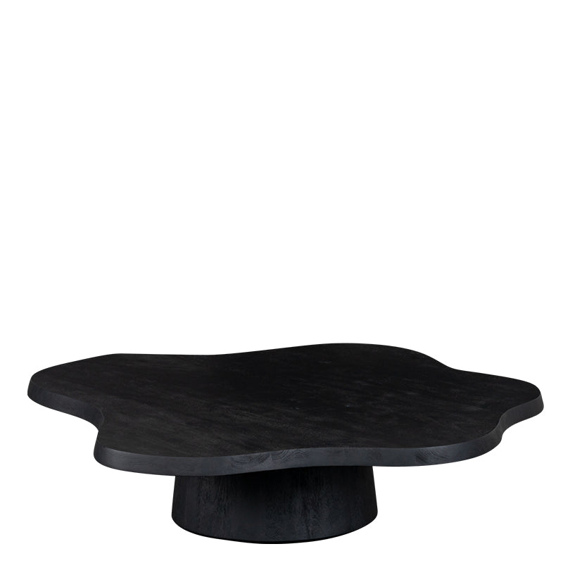 Lifestyle Newton Coffee Table