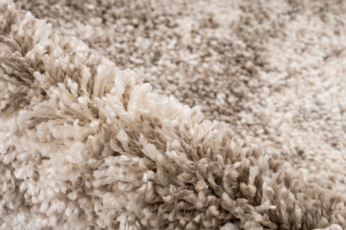 Lalee Carpet Pierre Cardin Mirage