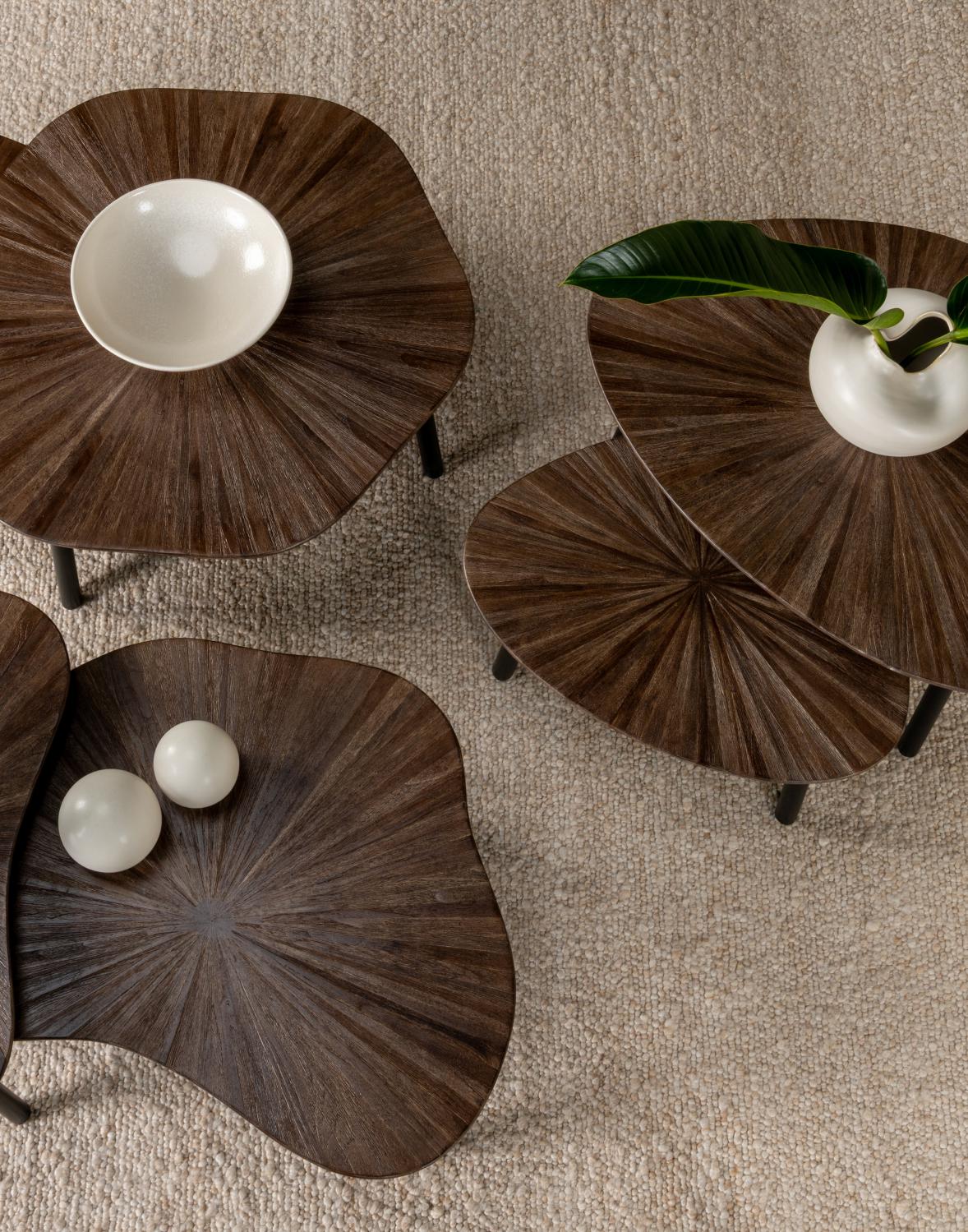 Lifestyle Tampa Organic Coffee Table Set/2