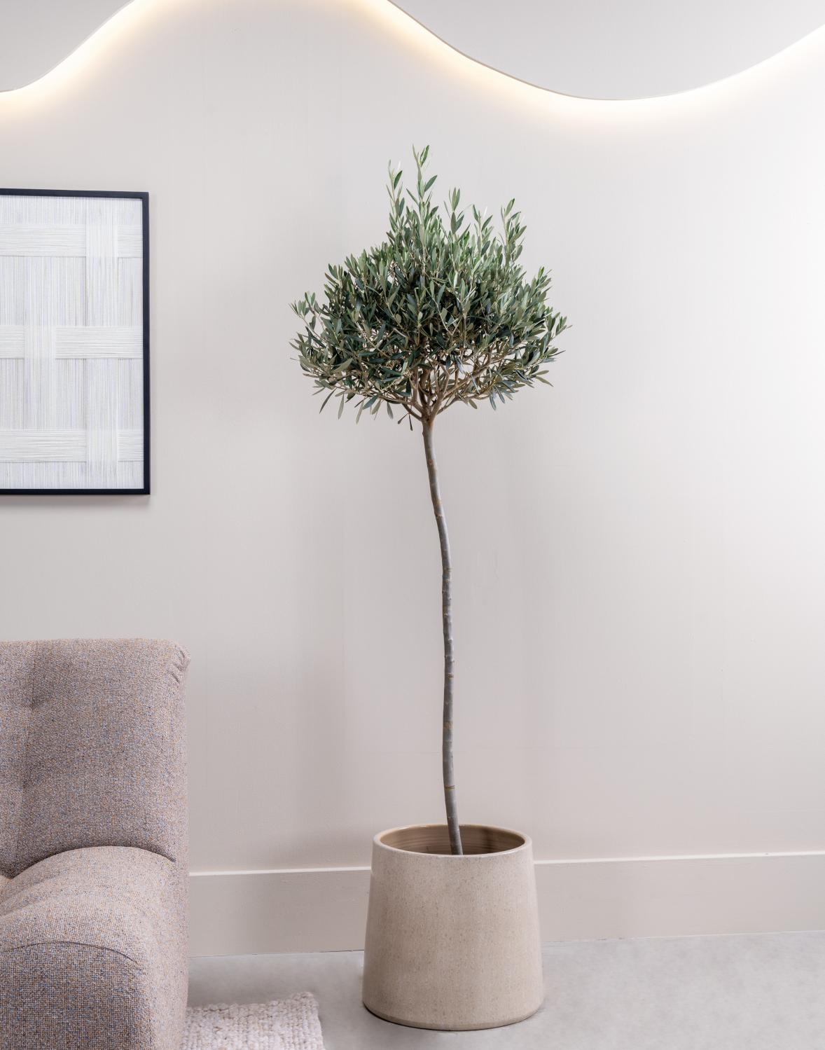 Lifestyle Nita Blumentopf