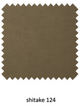Ambiseat RS6, Earth