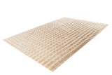 Lalee Carpet Hides Harmony
