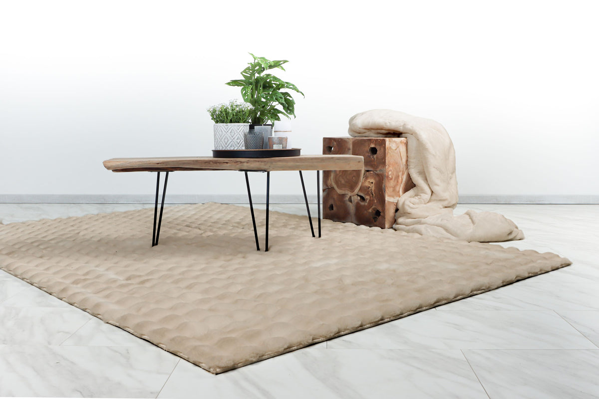 Lalee Carpet Hides Harmony