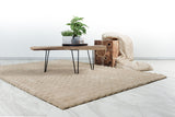 Lalee Carpet Hides Harmony