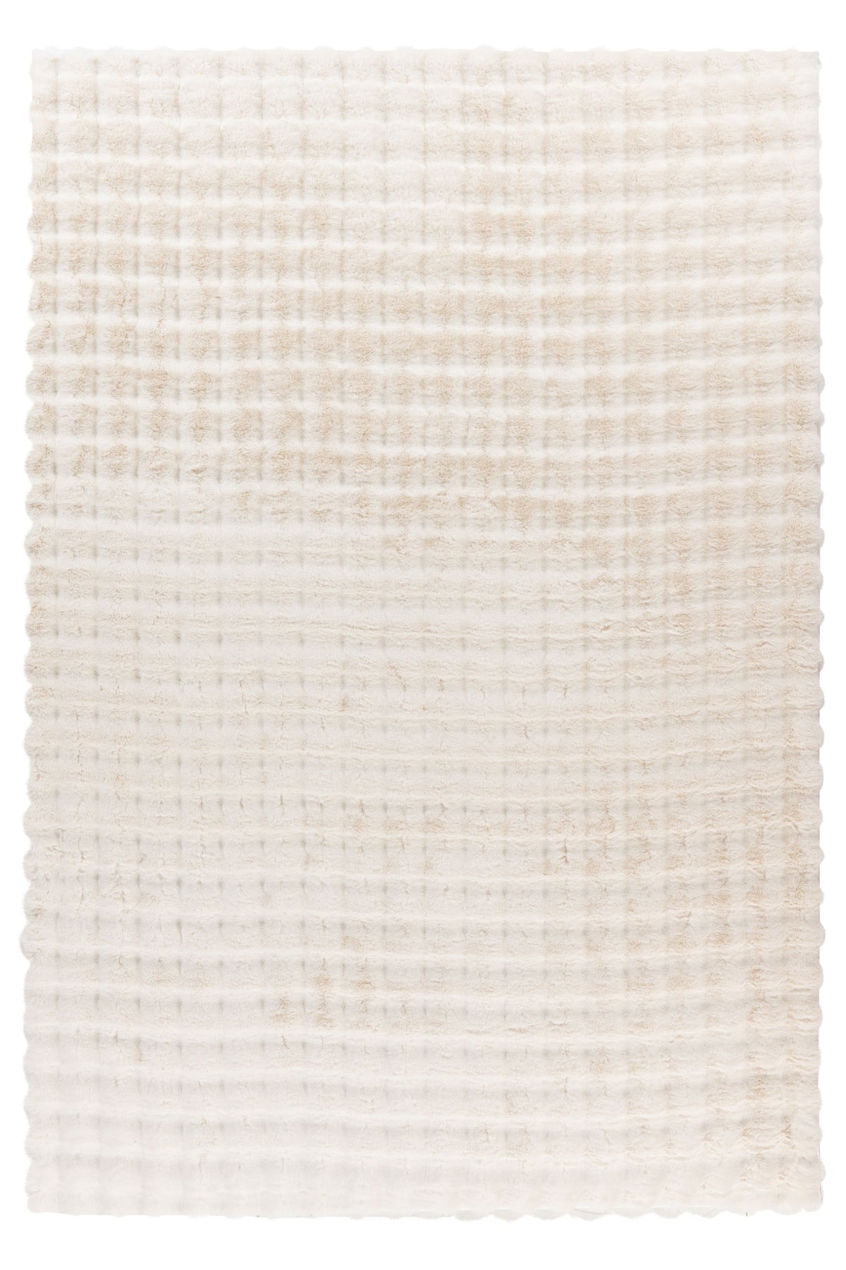 Lalee Carpet Hides Harmony