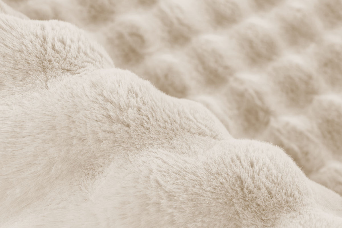 Lalee Carpet Hides Harmony