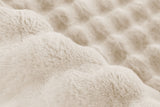 Lalee Carpet Hides Harmony
