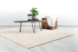 Lalee Carpet Hides Harmony