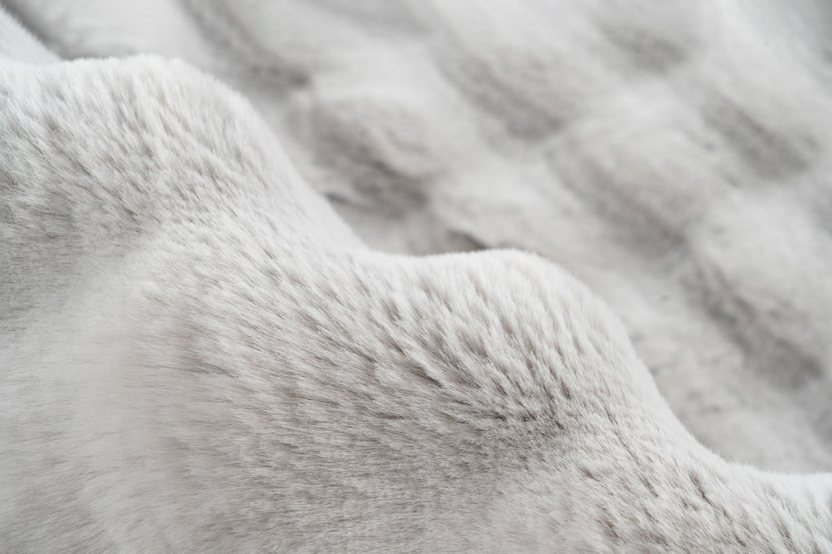 Lalee Carpet Hides Harmony