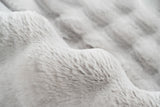 Lalee Carpet Hides Harmony