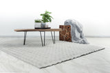 Lalee Carpet Hides Harmony