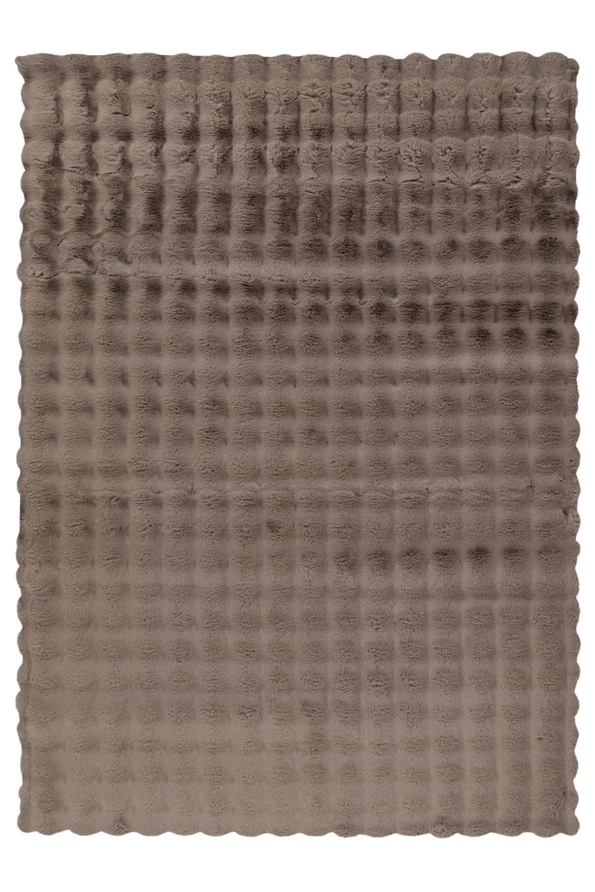 Lalee Carpet Hides Harmony