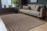 Lalee Carpet Hides Harmony