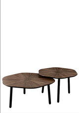 Lifestyle Tampa Hexagon Coffee Table Set/ 2