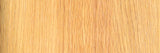 WeWood NIDO LOUNGE CHAIR by CHRISTIAN HAAS,