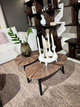 LIfestyle Tampa Triangle Coffee Table Set/2