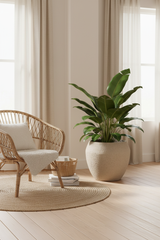 Manaus Vase Cream als bloempot met tropische plant