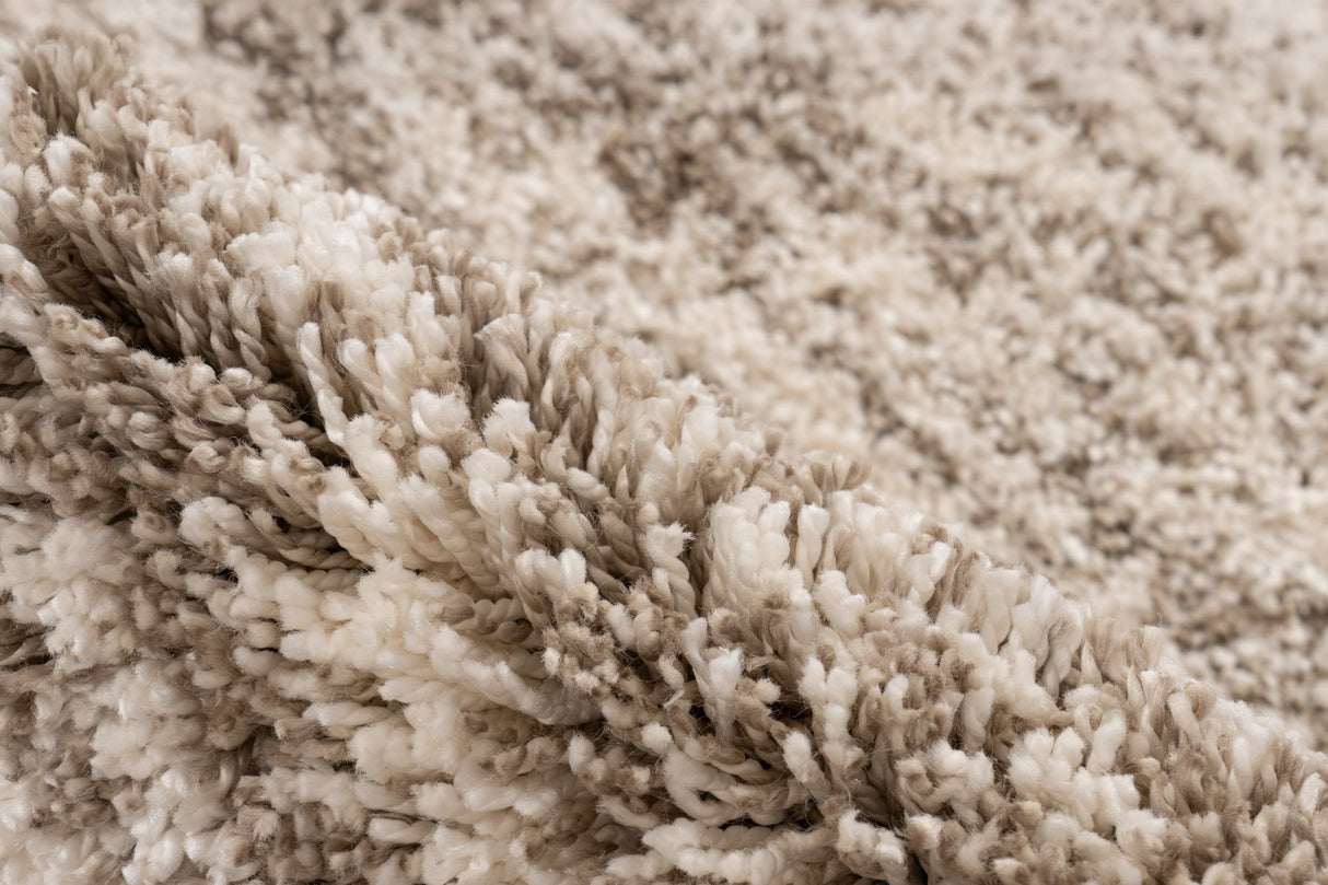 Lalee Carpet Pierre Cardin Mirage